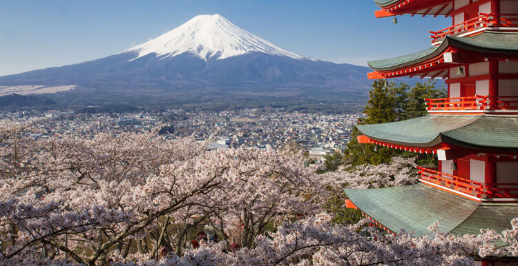 日本亚马逊推广_ 亚马逊日本站怎样运营?