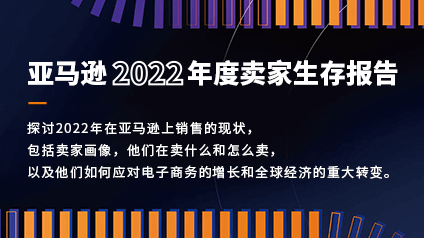 亚马逊2022年度卖家状况报告